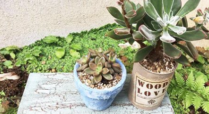 ワークショップ Diyファクトリー二子玉川 ニッペホームプロダクツ株式会社